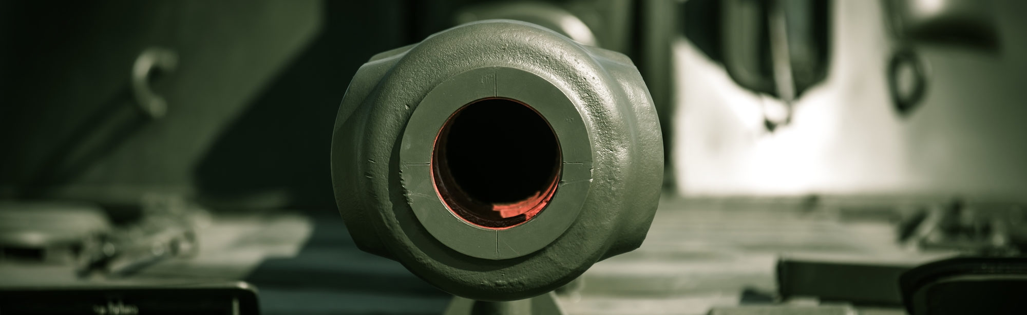 Cannon